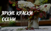 Яркие краски осени